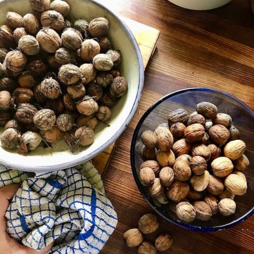 Recipe For Mini Mushroom and Walnut Roasts