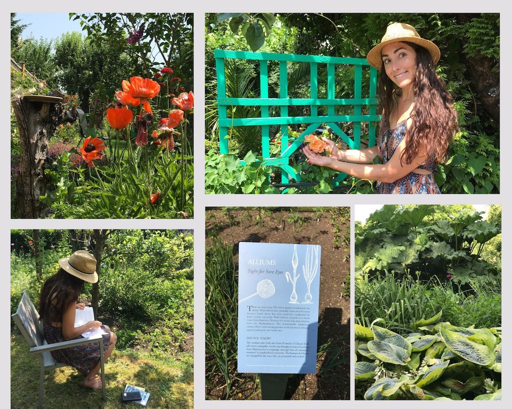 Travel Review of The University of Oxford Botanic Garden