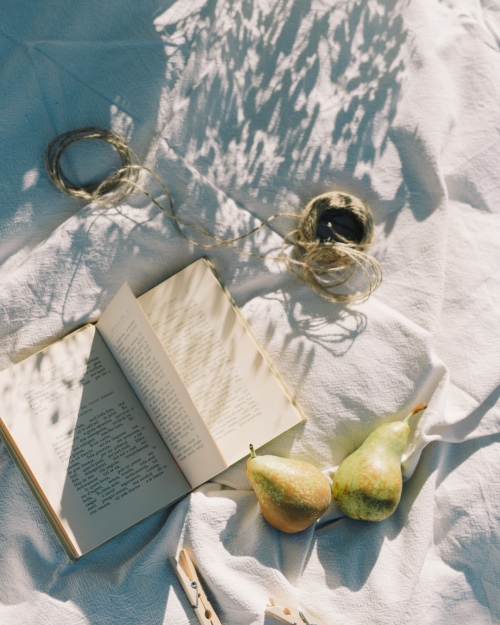 The 4 Mindful Poetry Books You Need to Elevate Your Wellness Routine In 2024